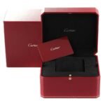 Cartier Santos de Cartier WGSA0029 39.8mm Silvered Opaline Dial With Yellow Gold Bracelet - 图片 6