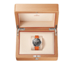 Seamaster Diver 300M 42 mm 210.32.42.20.01.006 - 图片 3